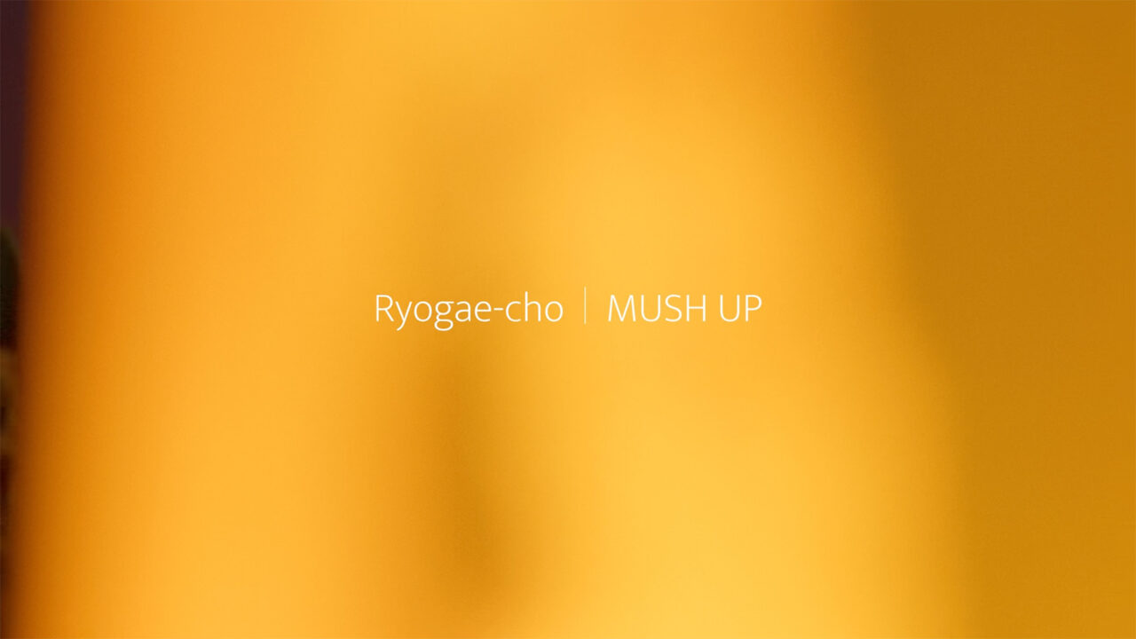 mush-up-image-4-v2